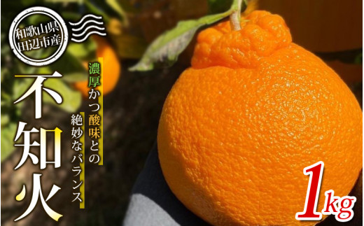 【先行予約】不知火1kg 【贈答】 ※2027年3月から順次発送予定 中山農園のこだわり不知火  / 和歌山県 しらぬい デコポン 家庭用 贈答用 フルーツ 果物 柑橘 田辺市 【nak014-1】