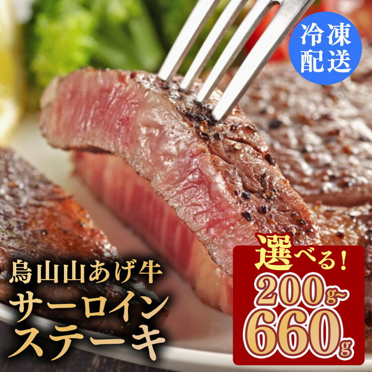 【ふるさと納税】【選べる内容量】烏山山あげ牛サーロインステーキ 200g×1枚/200g×2枚（400g）/220g×3枚（660g）
