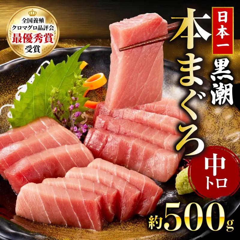 本マグロ 中トロ 500g マグロ