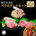 【ふるさと納税】【12回定期便 豚肉6種セット】ありたぶた バラエティAセット (豚肉6種) 12回 定期便 小分け 真空パック 豚肉 ロース バラ ウインナー ソーセージ ハンバーグ N160-1