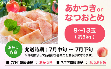 【先行予約】【7月中旬から順次発送】厳選の桃9～13玉入り  愛媛県大洲市/幸野観光なし園 桃 もも モモ ［AGBD006］桃 もも モモ 