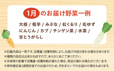 【数量限定】厳選！旬を味わう高槻野菜詰め合わせ 1月（10～15種）＆農家さん自家製ゆず果汁 200ml×1本セット　大阪府高槻市/高槻あぐり[AOCS003] [AOCS003]