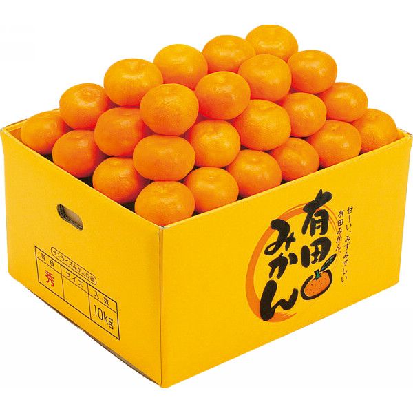 【ふるさと納税】 和歌山県紀州 完熟みかん / ミカン 蜜柑 プレミアム 赤秀ランク 5kg 10kg ※12月上旬より順次発送