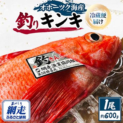 ふるさと納税 網走市 【期間限定】釣りキンキ1尾(約600g)冷蔵便届け