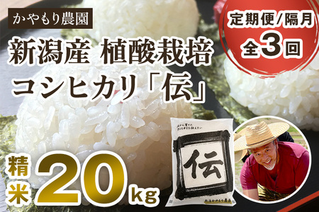 【令和7年産新米】【定期便3回隔月お届け】新潟産コシヒカリ「伝」白米真空パック 精米20kg（5kg×4）《9月下旬～順次出荷》 かやもり農園