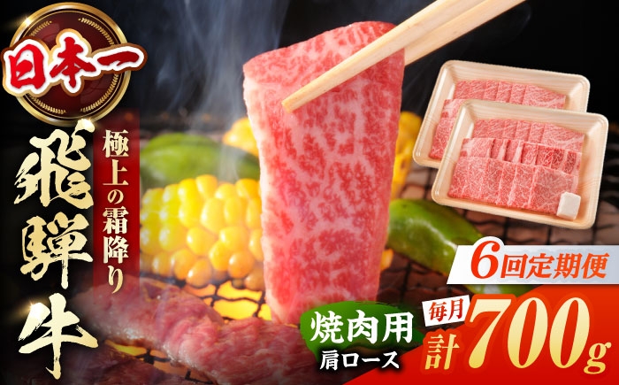 
                  【6回定期便】 飛騨牛 焼肉用 肩ロース 700g（350g×2）/ 焼肉 牛肉 和牛 定期便 霜降り / 白川町 / 浅井商店 [AWBJ016]
                