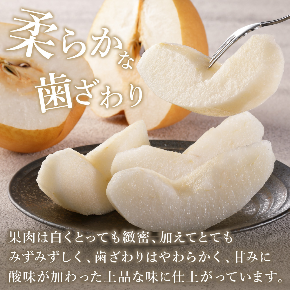 【2025年産先行予約】伊万里梨「王秋」 約5kg  B163_イメージ4