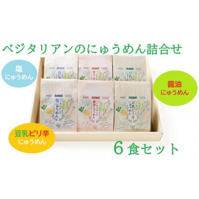 ふるさと納税 天理市 【ギフト包装】VT-6ベジタリアンのにゅうめん6食セット
