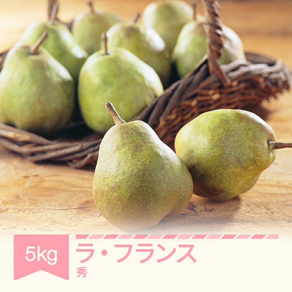 【ふるさと納税】先行予約 ラ・フランス 洋梨 ラフランス 約5kg 秀品 令和8年産 2026年産 果物 山形県産 送料無料 ※沖縄・離島への配送不可 mm-lasxx5