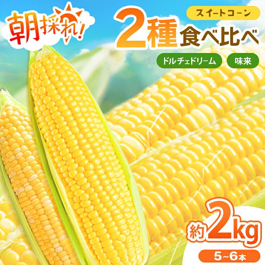 【ふるさと納税】【 2026年 先行予約 】とうもろこし 2種食べ比べミックス 味来×ドルチェドリーム 約2キログラム（5～6本） | とうもろこし にがり農法 国産 新鮮 食べ比べ 産地直送 栄養たっぷり 野菜 旬 鈴木アル・ファーム 新鮮 朝採り 千葉 君津 きみつ