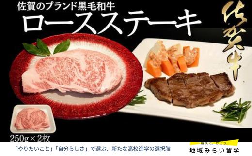 
            【A4 A5ランク】佐賀牛 ロースステーキ 250g×2枚 500g
          