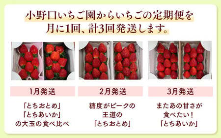 【定期便】＜いちご3ヶ月定期便＞先行受付 とちあいか とちおとめ 300g以上2パック計3回 | 完熟 ※2027年1月～発送