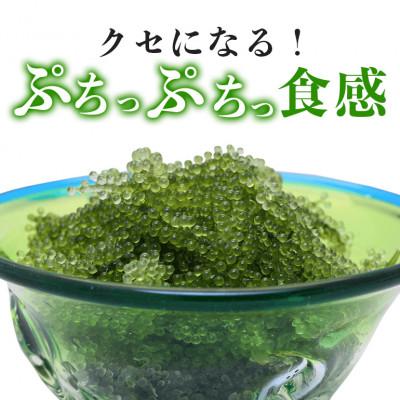 ふるさと納税 糸満市 朝採れ!ぷちぷち海ぶどう400g |  | 01