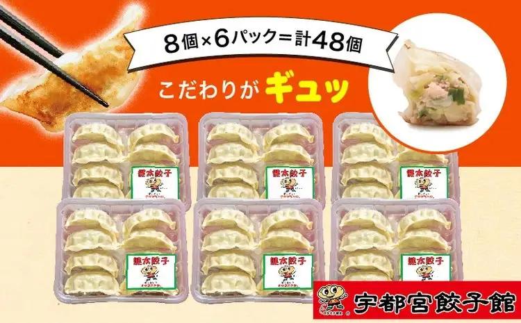 「宇都宮餃子館」の 健太餃子 8個入り×6パック(計48個) ｜ 餃子 冷凍 ぎょうざ 栃木県 宇都宮市