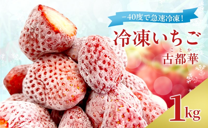 冷凍いちご 1kg 奈良県産 古都華 -40度で急速冷凍！ ことか スムージー フルーツ デザート BN001