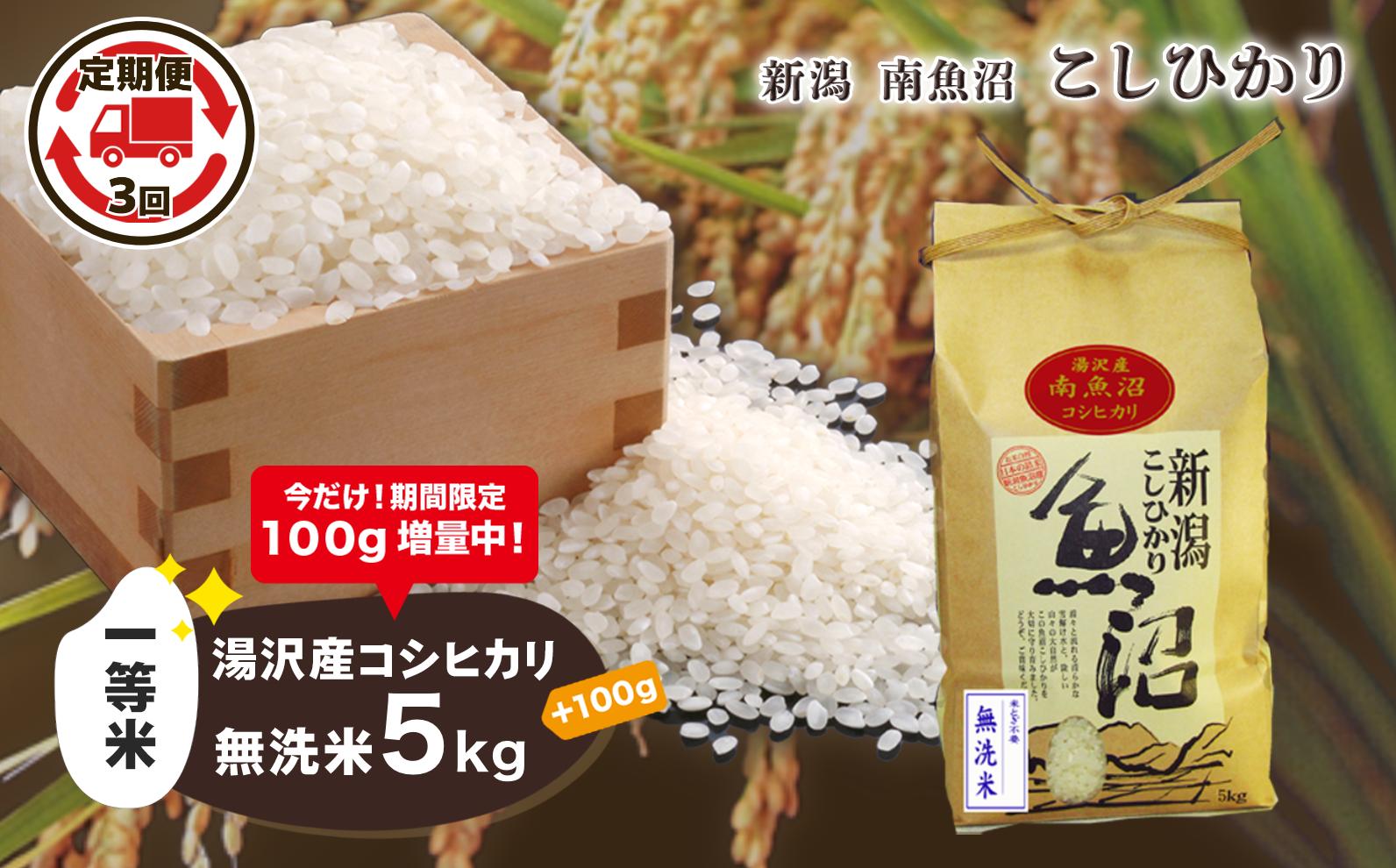 
【3ヶ月定期便】令和6年産【湯沢産コシヒカリ】＜無洗米＞5kg 精米したてのお米をお届け 【期間限定 100g増量中！】
