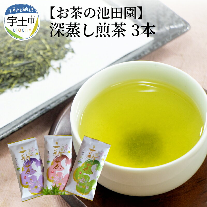 【ふるさと納税】 お茶の池田園 深蒸し煎茶100g×3本【熊本県宇土市】