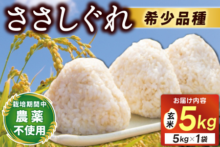 ★令和7年産★ ささしぐれ 5kg（玄米） DE008