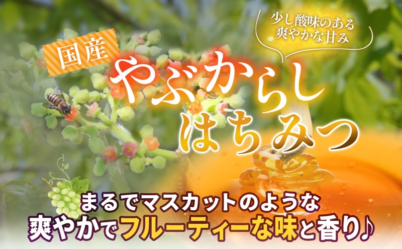 藤原黄金蜂蜜 栃 国産蜂蜜 やぶからし 各120g 計240g はちみつ とち ヤブカラシ 国産 単花蜜 朝しぼり 完熟 ハチミツ パン 菓子 トースト ホットケーキ ヨーグルト 調味料 隠し味 お取