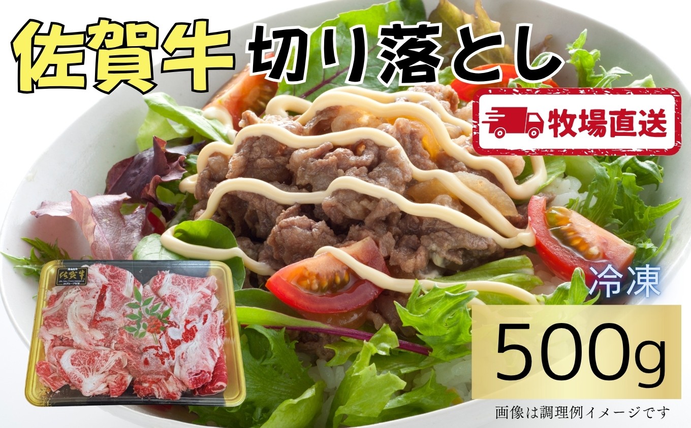 
            佐賀牛切落し500g［A0102-0004］
          