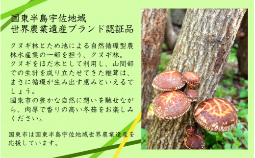 乾し椎茸 冬菇180g（国東半島宇佐地域世界農業遺産ブランド認証品）(1886R)_イメージ3