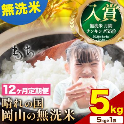 ふるさと納税 矢掛町 【12ヶ月定期便】晴れの国岡山の無洗米 5kg《申し込み翌月から発送》