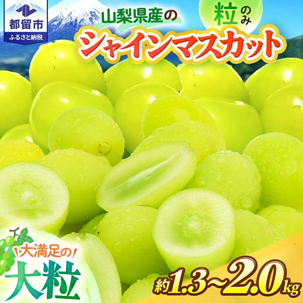 【ふるさと納税】 【2026年発送】 シャインマスカット 粒 山梨県産 選べる3容量 約1.3kg 約1.5kg 約2.0kg 冷蔵 フルーツ 果物 ぶどう ブドウ 葡萄 シャイン マスカット 8月下旬以降順次発送 アズールヤード 山梨県 都留市
