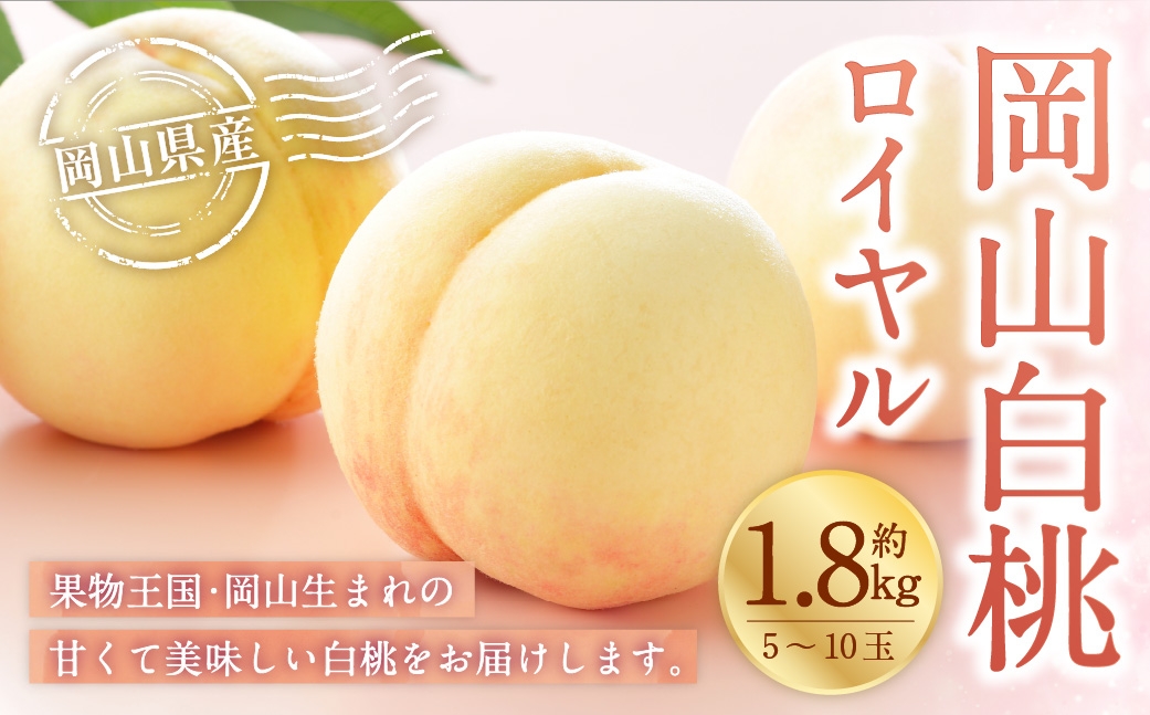 
                  岡山白桃 ロイヤル 5～10玉 約1.8kg 岡山県産 白桃 桃 もも モモ くだもの 果物 果実 フルーツ 国産 ギフト 贈り物 【 2026年7月上旬～8月下旬発送予定 】
                