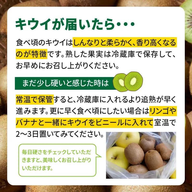 【先行受付：2026年11月頃発送開始】福岡限定品種キウイ「甘うぃ」約3kg<配送不可地域：北海道・沖縄・離島> 先行受付 キウイ キウイフルーツ フルーツ 果物 くだもの 甘い 高糖度 希少 オリジ