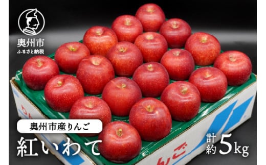 
            奥州市産りんご 紅いわて 5kg(14~20玉) 【10月上旬以降お届け】 フルーツ 林檎 冷蔵配送 離島配送不可 [AQ024]
          