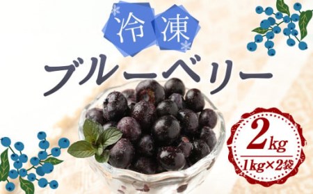 九重町産 冷凍 ブルーベリー 約2kg (1kg×2袋) 果物 フルーツ 冷凍フルーツ 冷凍果物 大分県 九重町産 