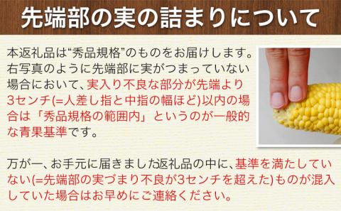日本最速級出荷 朝採り ゴールドラッシュ 20本入り 3L-Lサイズ 《6月上旬- 6月末頃出荷》  とうもろこし トウモロコシ---oz_cgrdr_ac6_r7_18000_20p---st-p