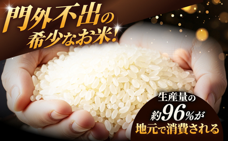 【6回定期便】岐阜県産米ハツシモ(藍の燈)10kg ハツシモ 白米 精米 米 岐阜市 / 藍川ファーム[ANHI006]