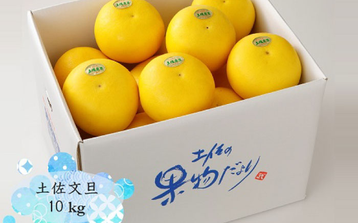 【先行予約】 よりすぐりの土佐文旦 約10kg（2Lサイズ 20玉程度）〈2027年2月初旬〜2027年4月中旬頃発送〉 / 文旦 土佐文旦 10kg 2L 20玉 大玉 柑橘 果物 フルーツ デザート 季節限定 期間限定 【L＋武田青果】 [ATIT009]