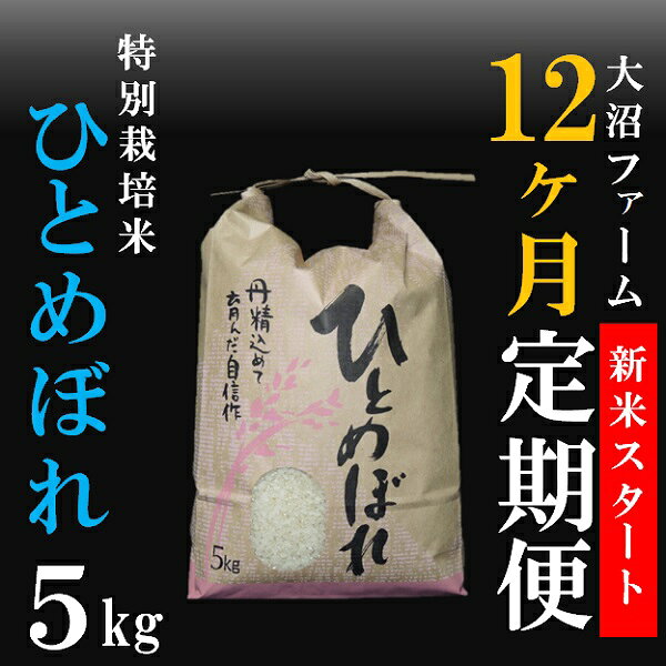 【ふるさと納税】10月スタート【定期便12回】大沼ファームの特別栽培米ひとめぼれ5kg