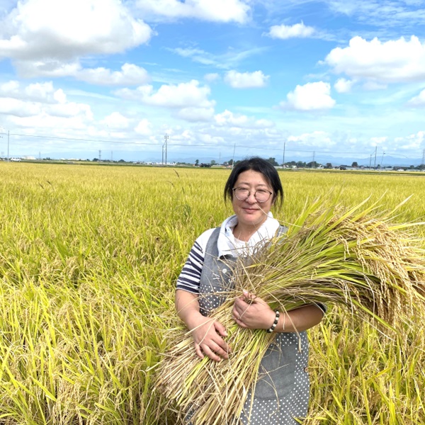 【令和7年産】《無洗米》グリーンファーム小野寺の雪若丸5kg　※10月中旬頃から順次配送予定 《無洗米》雪若丸5kg