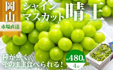 シャインマスカット 晴王 4房（1房480g以上）約2kg｜ シャインマスカット