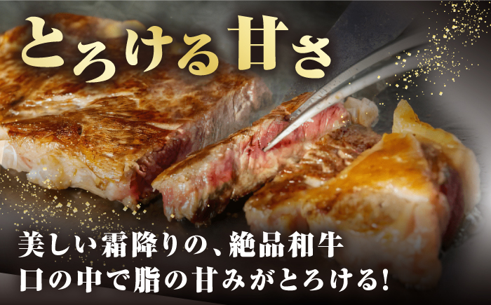 【全2回定期便】【A4～A5ランク】長崎和牛 サーロインステーキ 400g（200g×2枚）《壱岐市》【野中精肉店】 黒毛和牛 牛肉 和牛 赤身 希少部位  40000円 40000 4万円 [JGC