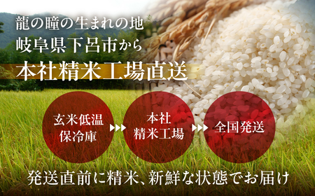 新米予約受付（2024年11月から順次発送）【2024年産米】3kg×2（計 6kg） 飛騨産・龍の瞳(いのちの壱) 株式会社龍の瞳直送 米 6キロ 令和6年産 精米 ブランド米 りゅうのひとみ 龍の