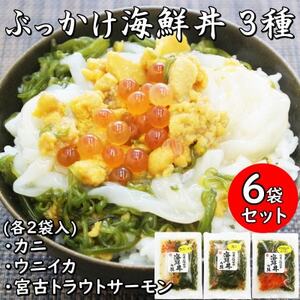 メカブ・イクラ入り!川秀のぶっかけ海鮮丼の具(ウニイカ・カニ・宮古トラウトサーモン)計6袋冷凍セット【配送不可地域：離島】【1635137】