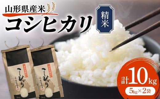 《先行予約》令和7年産 山形県産米 コシヒカリ 10kg（5kg×2） こしひかり 精米 米 お米 おこめ 山形県 新庄市 F3S-2509