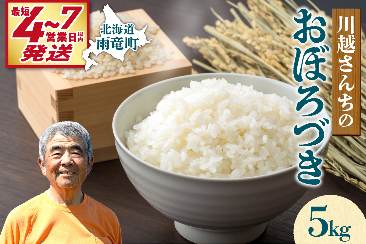 【最短4～7営業日発送】令和7年産 川越さんちの おぼろづき 5kg (5kg×1袋) 雨竜産 おぼろづき 精米 5kg お米 おにぎり お弁当 お取り寄せ 北海道 雨竜町