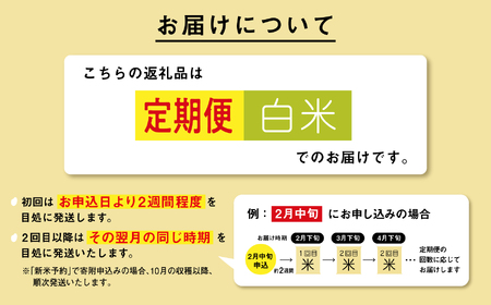 《先行予約》 白米 定期便 あきたこまち 令和7年産 30kg(5kg×6) × 3ヶ月 5kg袋 小分け 米 グルメ こめ コメ 【秋田のこまち農場】