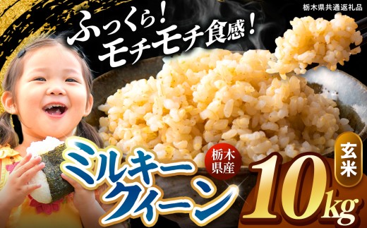 【先行予約】令和8年度産 玄米 約10kg ミルキークイーン | 真岡市産 米 お米 こめ 玄米 ご飯 ごはん もちもち ミルキークイーン 限定 ふるさと納税  栃木県 真岡市 送料無料