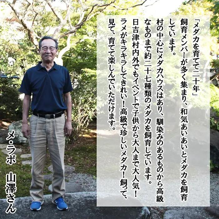 高級メダカ　3色体外光メダカ　2ペア【メダカ めだか オス メス ペア 4匹 高級 3色体外光 赤 白 黒 セット ペット 鳥取県 日吉津村】