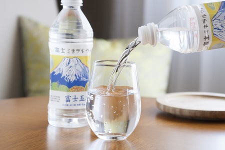 【ハイランドリゾートホテル＆スパ】エグゼクティブフロア　ツインルーム宿泊（２名様１室・朝食付宿泊券）