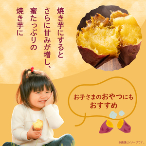 さつまいも 紅はるか 訳ありB品 15kg サツマイモ 甘藷 産出額 日本一 茨城県 鉾田市