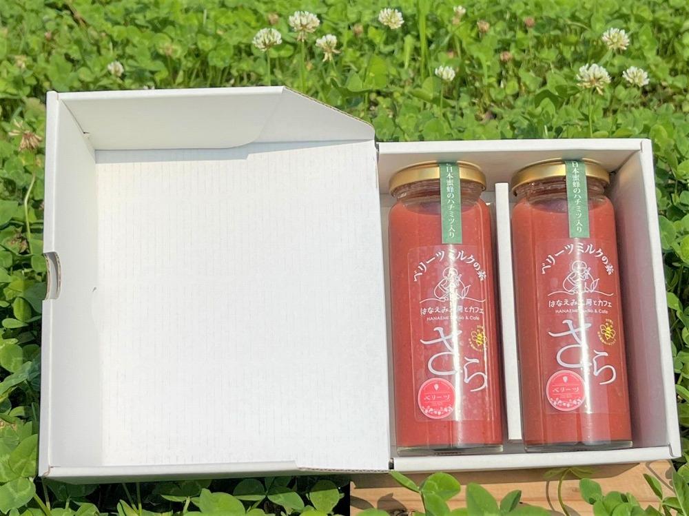 ＜由布市産ベリーツを使用＞手作り いちごミルクの素「さら」 200g×2本【はなえみ工房】