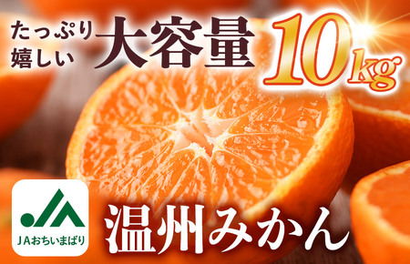 【先行予約】温州みかん 10kg【KC00760】 2026年11月下旬～12月下旬に順次発送予定 期間限定 ふるさと納税ミカン 温州ミカン 甘いみかん 愛媛みかん 果物 フルーツ ふるさと納税フルーツ 愛媛ふるさと納税 愛媛県ふるさと納税 JA