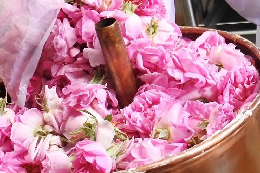 秋田薔薇園産 ガリカ薔薇ジャム 150g×3個 ローズメイ